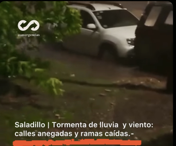 Saladillo | Intensa tormenta de lluvia y viento provocó caída de ramas y dejó calles anegadas.-