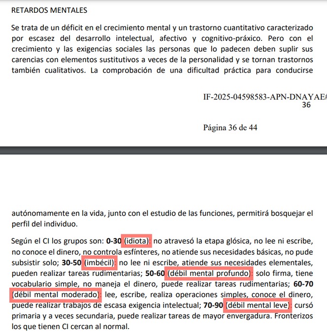 Javier Milei clasificó como “idiotas”, “imbéciles” y “débiles mentales” a personas con discapacidad.-
