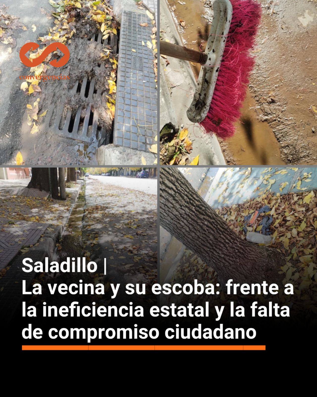 La vecina y su escoba: frente a la ineficiencia estatal y la falta de compromiso ciudadano.-