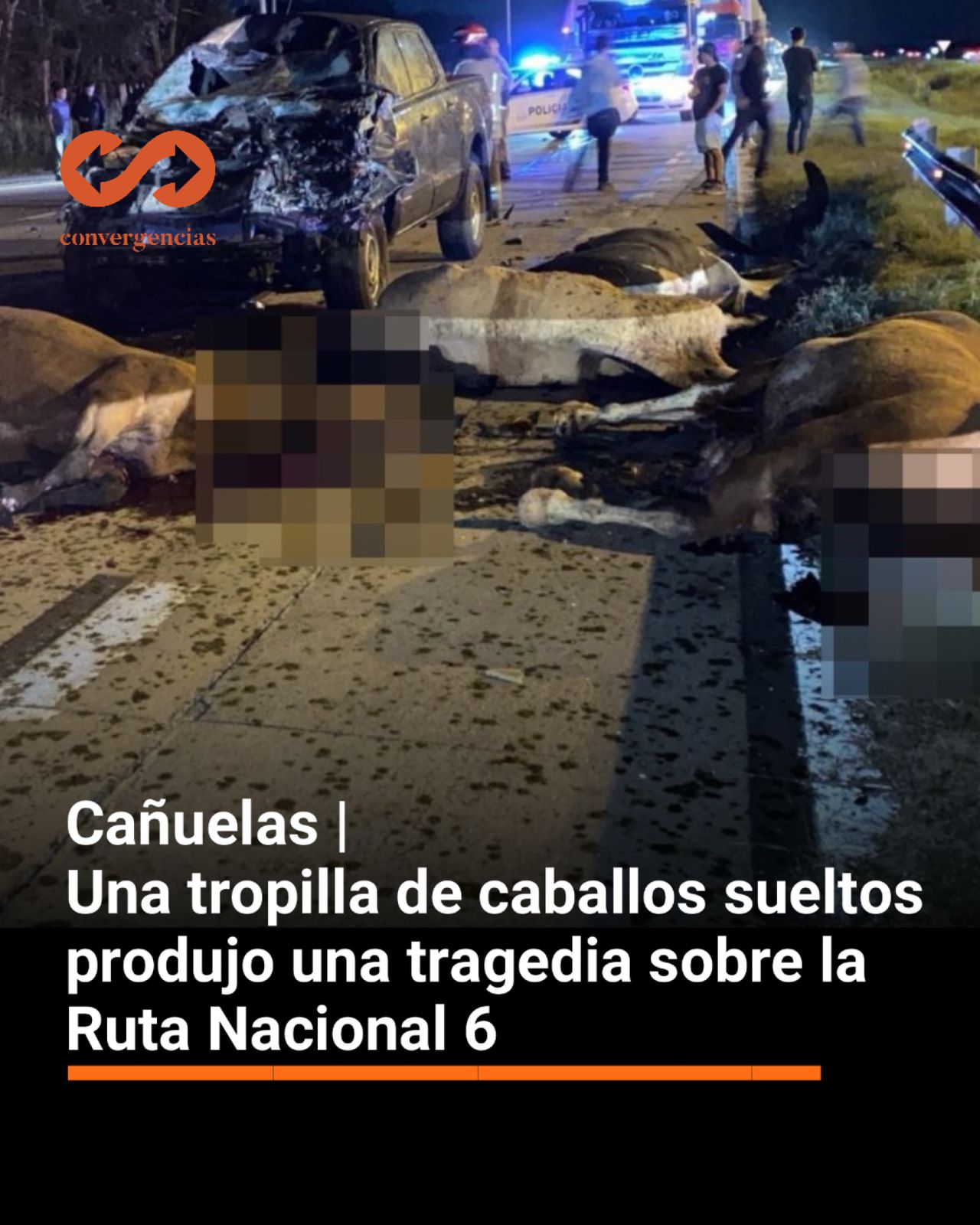Cañuelas |Una tropilla de caballos sueltos produjo una tragedia sobre la Ruta Provincial Nº 6.-