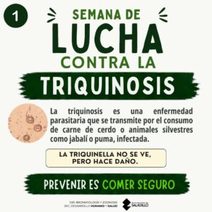 Saladillo refuerza la prevención contra la triquinosis durante la semana de concientización.-