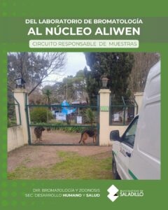 Telemedicina: Cuándo podés utilizarla?