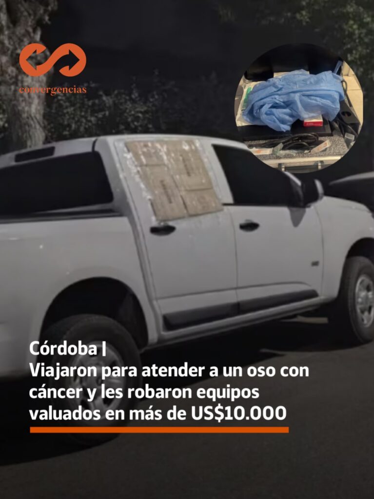 Viajaron a Córdoba para atender a un oso con cáncer y les robaron los equipos veterinarios que cuestan más de US$10.000.-