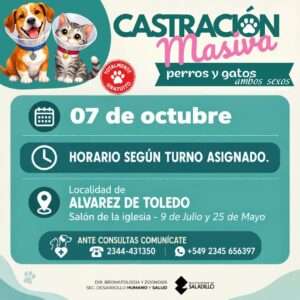 Castración masiva de perros y gatos en Álvarez de Toledo.-