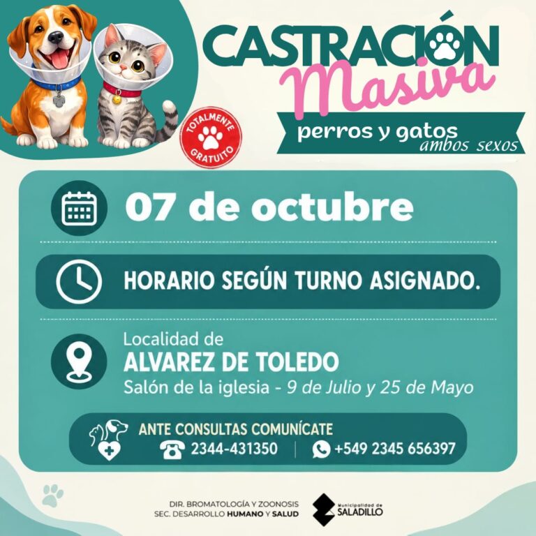 Castración masiva de perros y gatos en Álvarez de Toledo.-