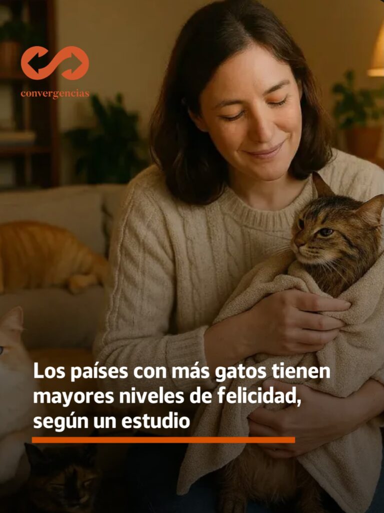 Los países con más gatos tienen mayores niveles de felicidad, según un estudio.-