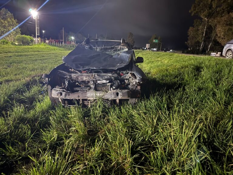 Lobos | Un automovilista de Saladillo impactó contra un caballo suelto a la altura del km 102 de la RN 205.-