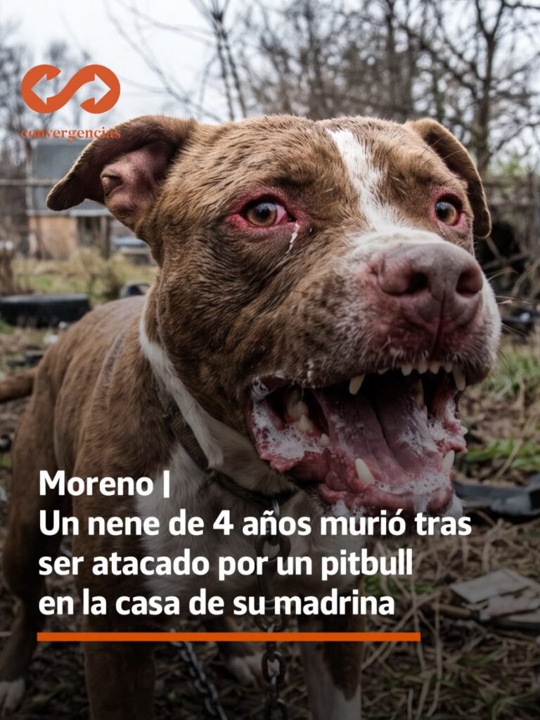 Moreno | Un nene de 4 años murió tras ser atacado por un pitbull en la casa de su madrina.-