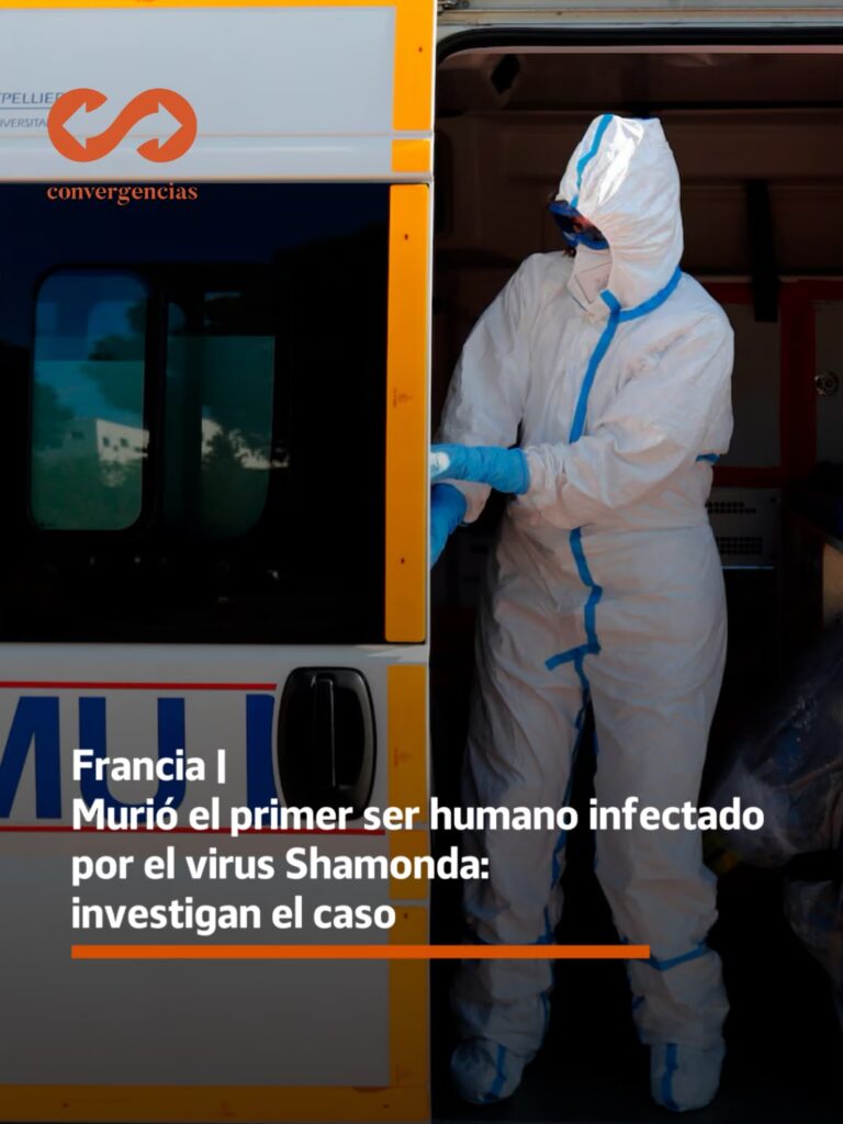 Francia | Un hombre murió tras convertirse en el primer caso documentado de infección humana por el virus Shamonda.-