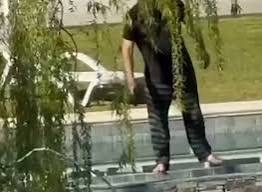 Nordelta |Indignación por un hombre que fue grabado disparándole a un carpincho.-
