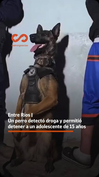 Entre Ríos | El perro que sonríe después de detectar droga.-